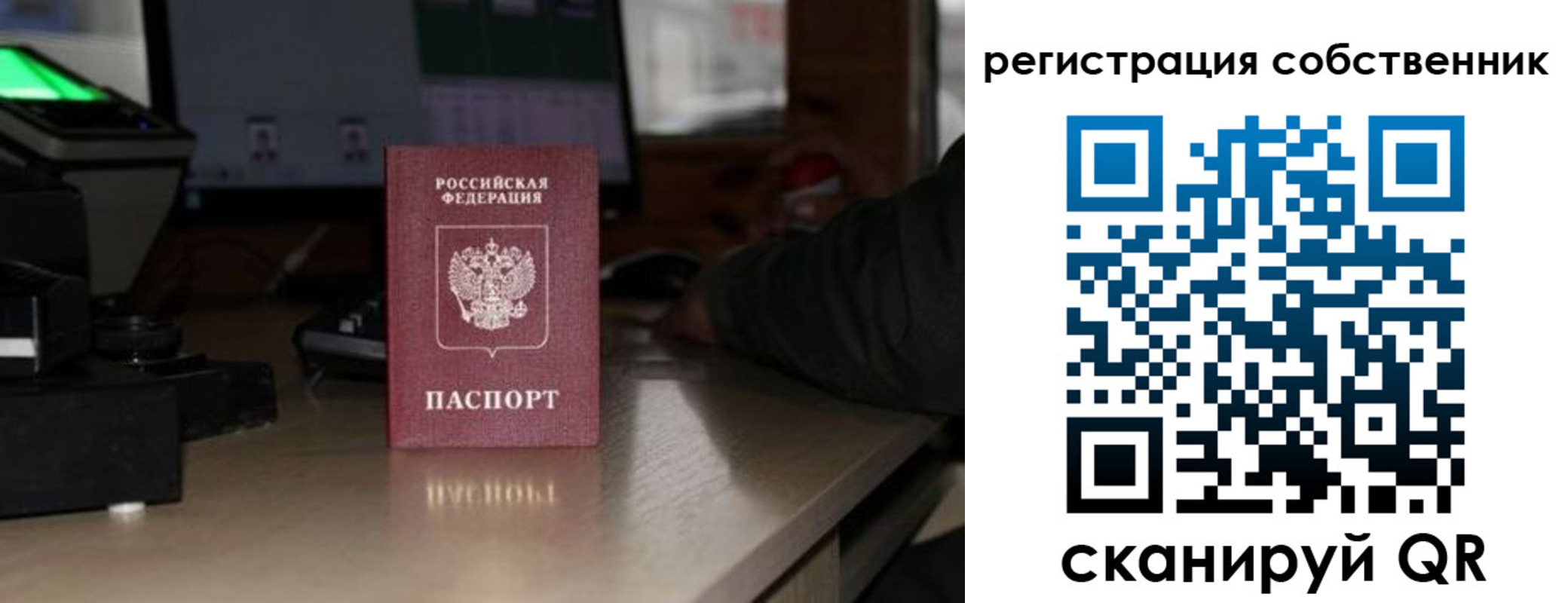 прописка поиск в Можге
